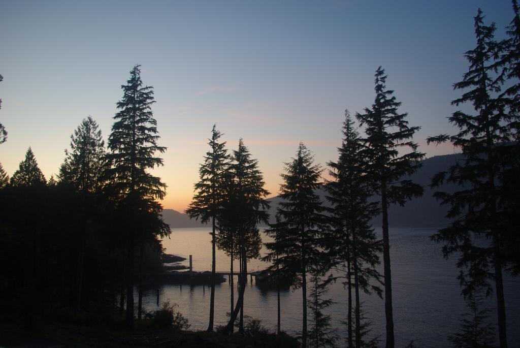 Wild Coast Chalets Port Renfrew Exterior photo